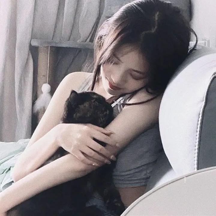 汪喵物语