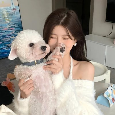 凤舞龙翔